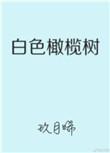 白色橄榄树免费阅读完整版