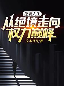 从绝境走向权力巅峰作者文木月月
