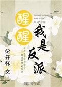 醒醒我是反派无防盗