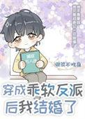 穿成乖软反派后我结婚了 番外作者狸奴不吃鱼