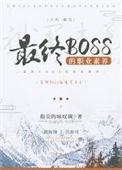 最终Boss的职业素养