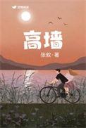 高墙边的混乱第五季出了吗