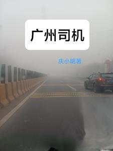 广州司机玩手机