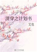 清穿之记事