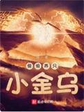 偷偷养只小金乌有几个妖宠