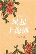 风起上海滩全集免费版