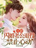 电视剧名闪婚老公最给力