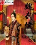 魏武侯笔趣阁