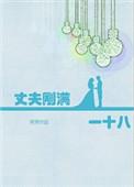 丈夫刚满一十八的简介