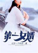 √第一女婿小