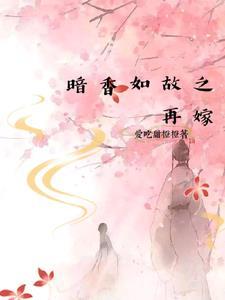 暗香续写贴吧