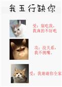我五行缺你有车吗?