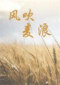 风吹麦浪dj版超好听