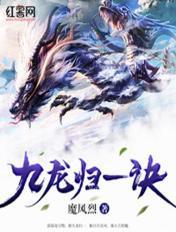 九龙归一诀陆沉