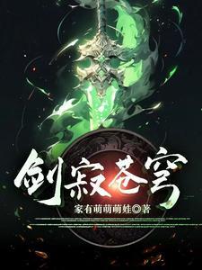 剑寂苍穹百科