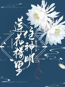 莲花楼吉祥纹txt
