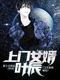 上门女婿免费全文阅读完整版叶辰7