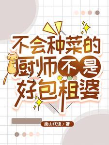 我靠厨艺征服四爷