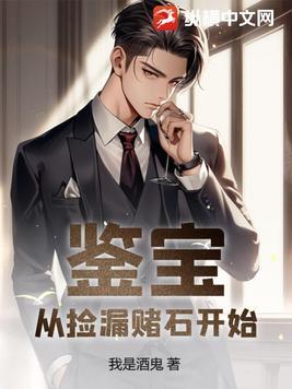 鉴宝捡漏赌石赌木类集