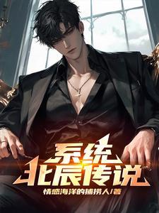 主角叫北辰