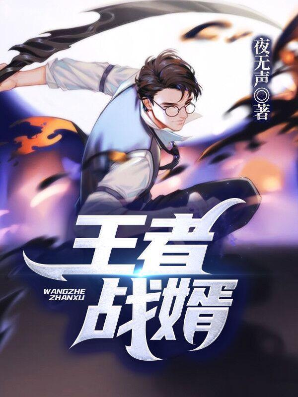 王者战婿 夜无声