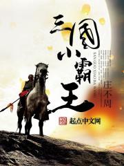 小霸王 三国游戏