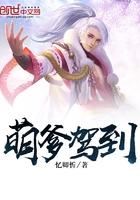 萌宝驾到爹的请闪开