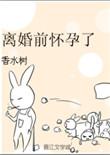 离婚前怀孕了百度