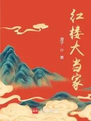 红楼大当家有男主吗