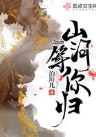 山河等你归书评解析