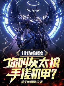 你叫灰太狼手搓机甲?txt