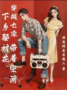 穿越东北年代文