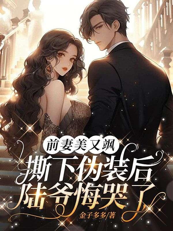 前妻归来总裁追妻路漫漫陆盛轩