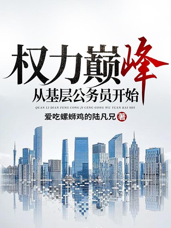 权力巅峰从基层公务员开始王鸿涛2免费阅读全文
