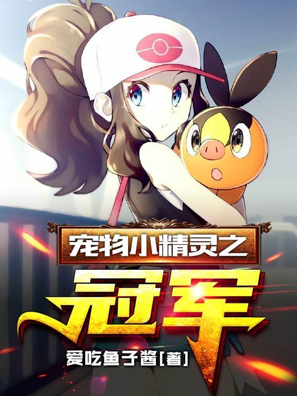 宠物小精灵之冠军至上