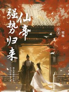 仙帝强势归来 珺栎