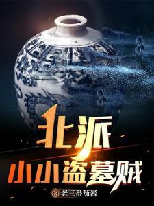 北派三叔是盗墓贼吗