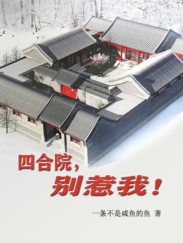 四合院别惹我张仲民
