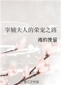 宰辅夫人的荣宠之路正确版本