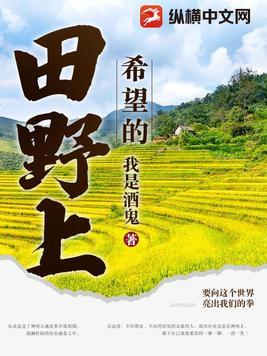 在希望的田野里简谱