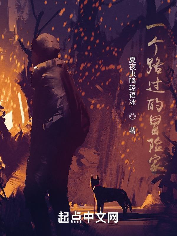 一位冒险家的故事