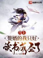 赘婿当道这部怎么样