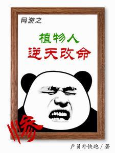 开局网游