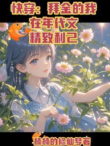 快穿拜金的我在年代文精致利己李娜