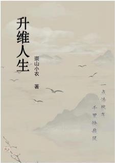 升维理念