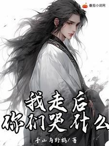 我走后你们就是我原文