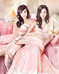 婚姻管理大师一枝安
