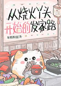 从烧火丫头开始的发家路完结