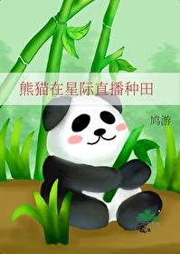 熊猫在星际直播种田晋江