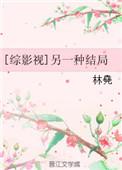 综影视之另一个结局林